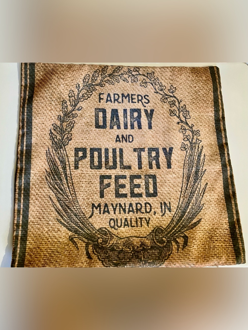 2 Pillow Cases
